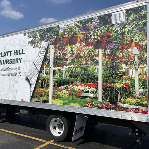 Vehicle Graphics & Wraps